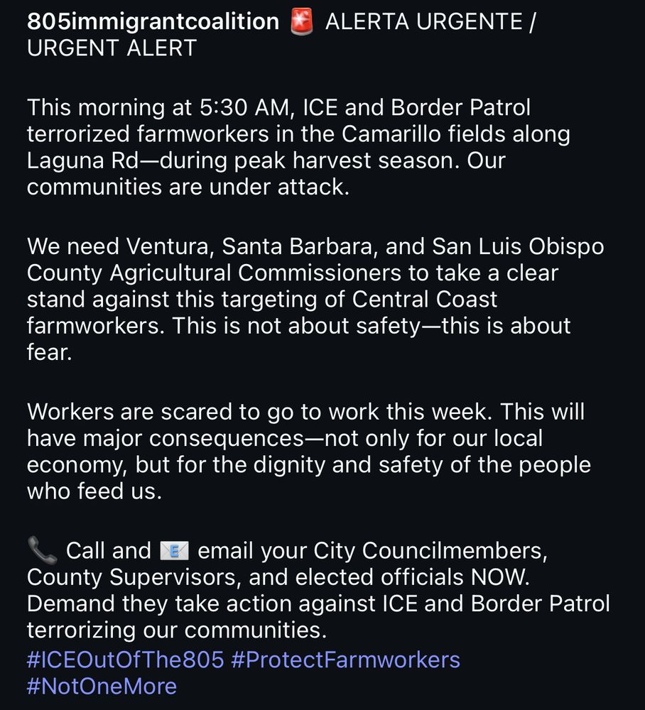 805immigrantcoalition
URGENT ALERT
ALERTA URGENTE /
This morning at 5:30 AM, ICE and Border Patrol terrorized farmworkers in the Camarillo fields along Laguna Rd-during peak harvest season. Our communities are under attack.
We need Ventura, Santa Barbara, and San Luis Obispo County Agricultural Commissioners to take a clear stand against this targeting of Central Coast farmworkers. This is not about safety-this is about fear.
Workers are scared to go to work this week. This will have major consequences-not only for our local economy, but for the dignity and safety of the people who feed us.
Call and E email your City Councilmembers, County Supervisors, and elected officials NOW.
Demand they take action against ICE and Border Patrol terrorizing our communities.