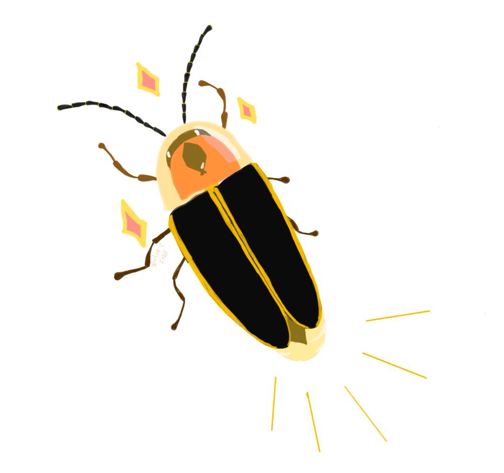 A cartoon style drawing of a firefly