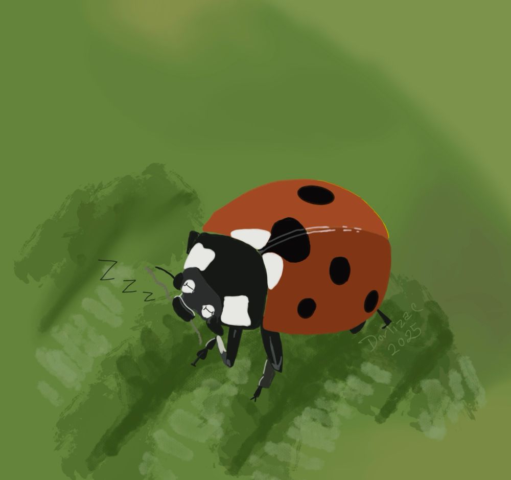 A cartoon style ladybug apparently asleep, with eyes definitely in the wrong spot 