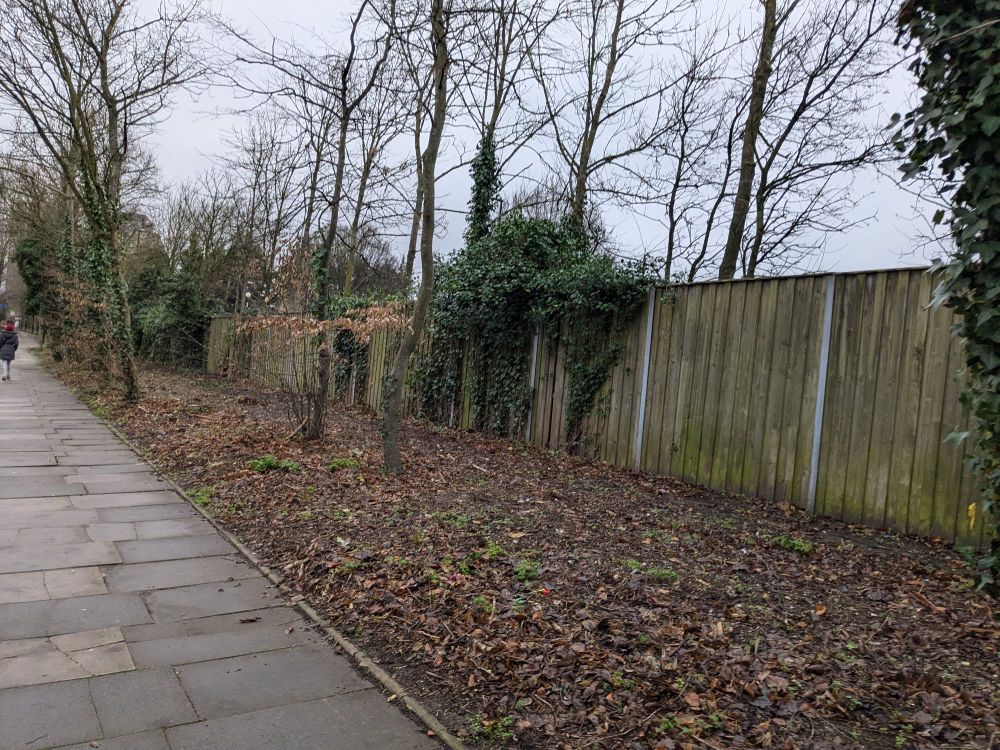 A path with a clear patch with trees to the right. There is a wooden fence visible.