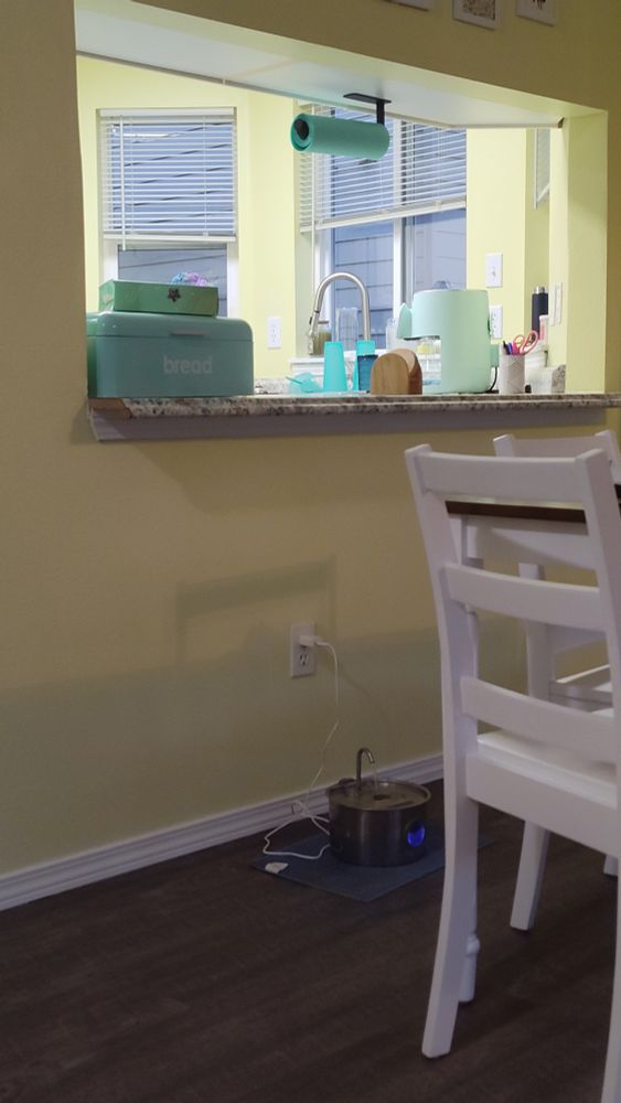 Yellow wall, kitchen passthrough with 3-4 inch overhang. There is a pet fountain on the floor and a white dining chair in the foreground. 