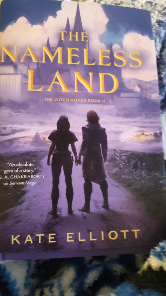 An early copy of The Nameless Land by Kate Elliott 

The cover has two people on it, shown from the back in adventuring garb

It's misty blue and purple with hints of green, backdrop is a castle in the clouds 