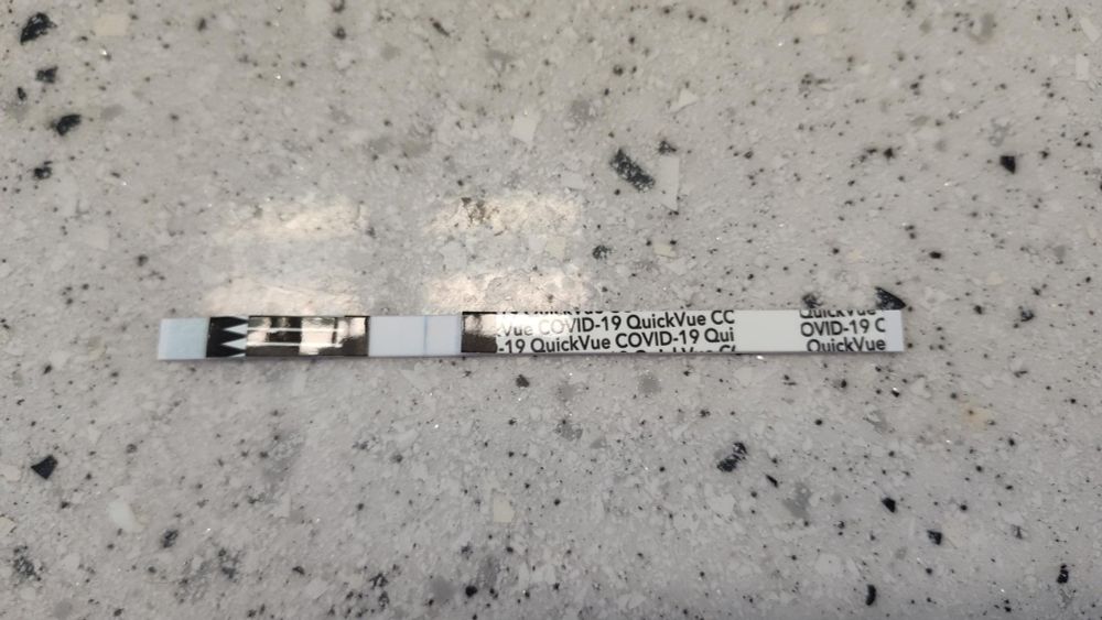 Negative COVID test, not even a faint suggestion of a line