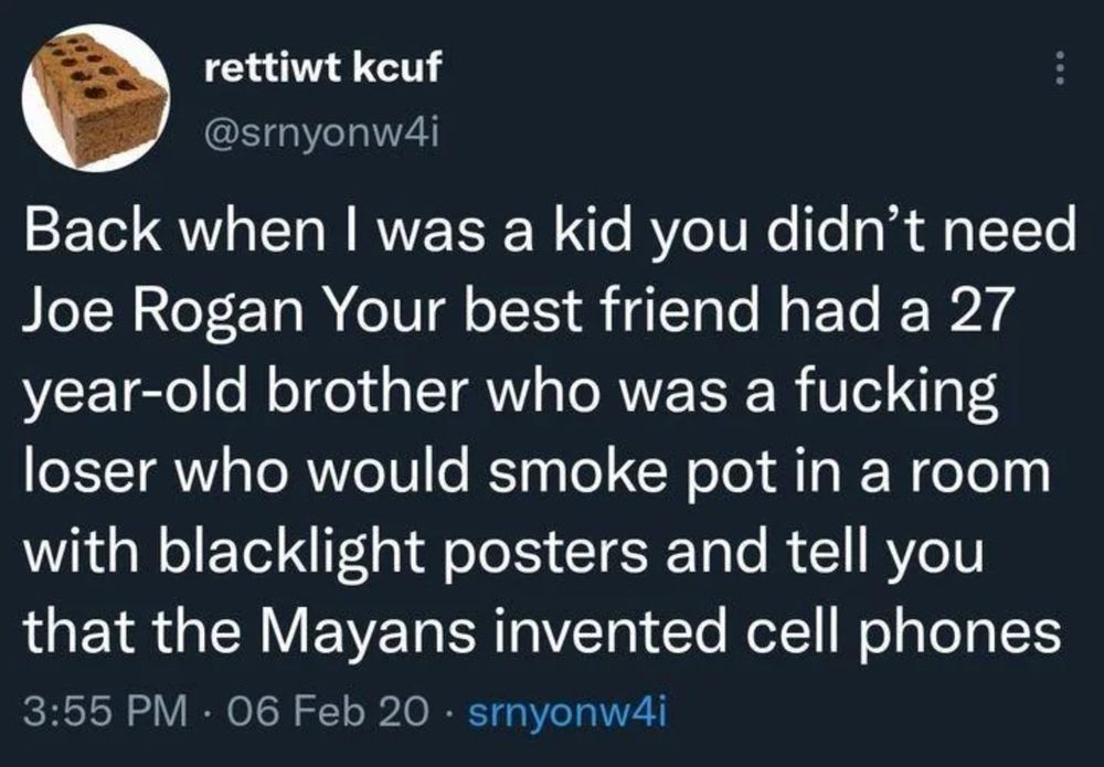 rettiwt kcuf (@srnyonw4i) on twitter:

"Back when I was a kid you didn’t need Joe Rogan Your best friend had a 27 year-old brother who was a fucking loser who would smoke pot in a room with blacklight posters and tell you that the Mayans invented cell phones"