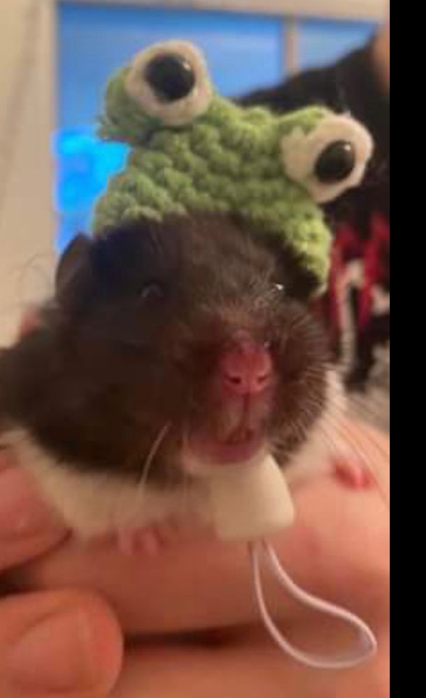 No connection to very metal name