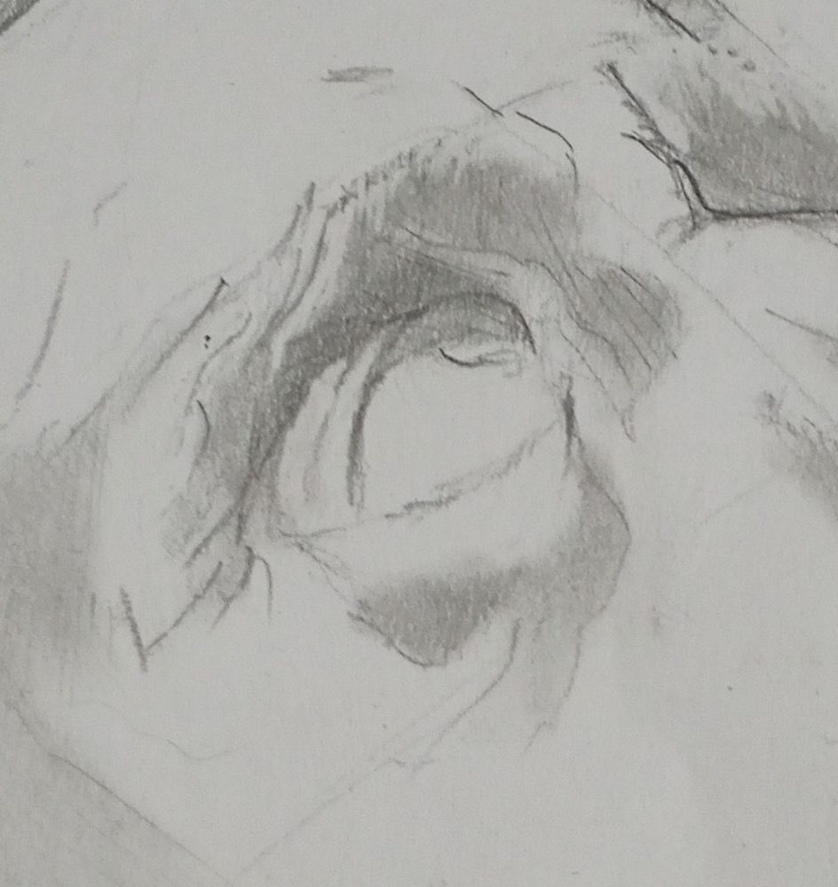 A rough sketch of an old person's eye. 