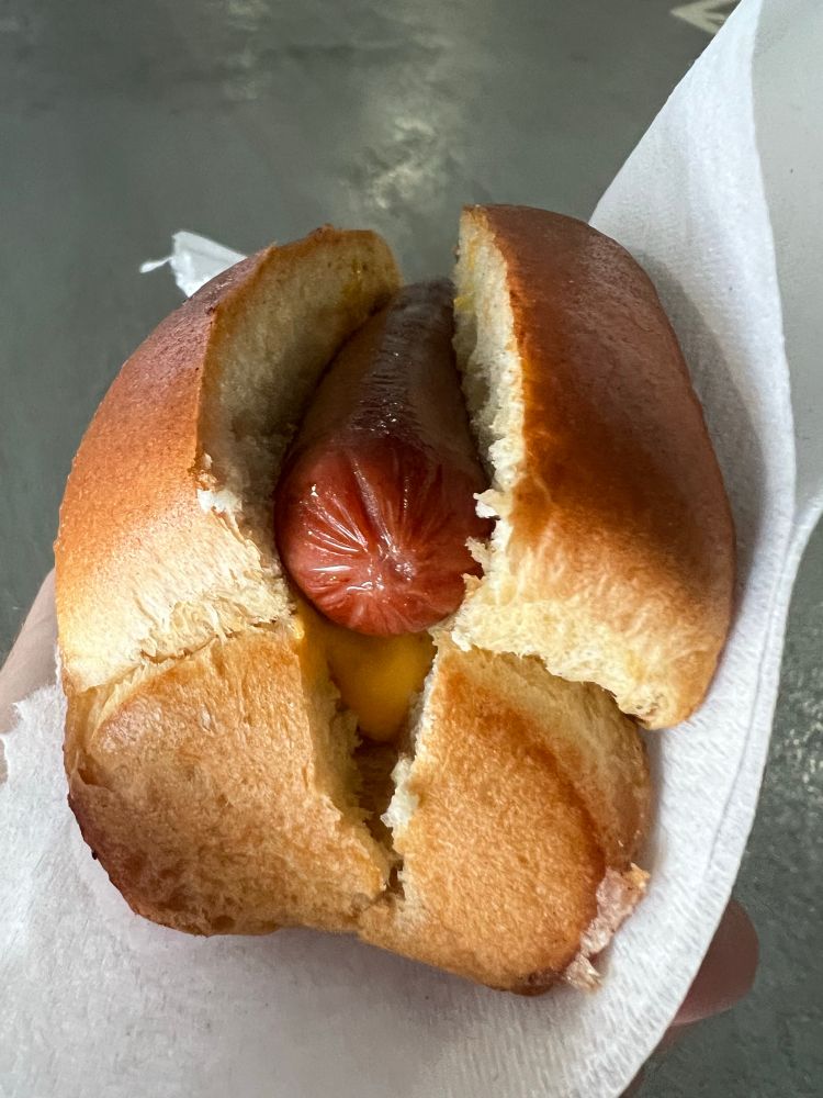 A hot dog with cheese sauce on the bottom. 