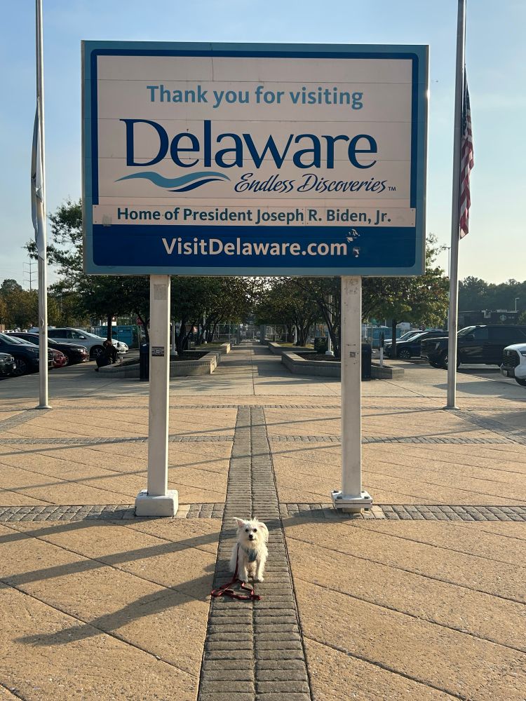 my dog IHOP at a rest area on our way out of delaware 