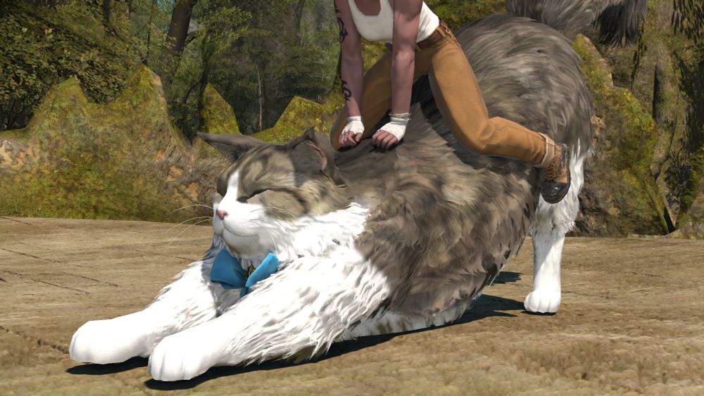 ffxiv shagcoat cat mount with its textures edited to look like my cat ishy, doing a BIIIIIIIIG STRETCH