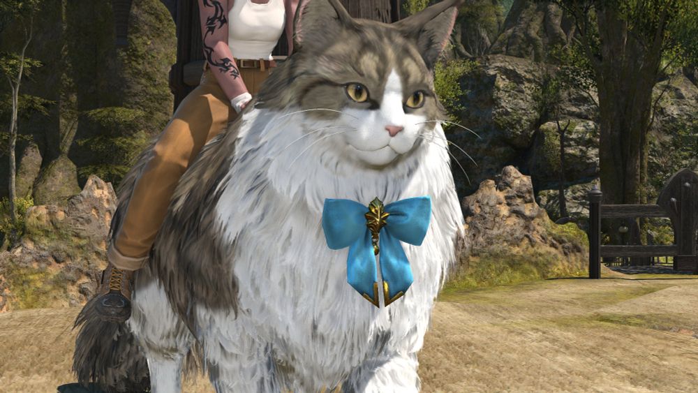 ffxiv shagcoat cat mount with its textures edited to look like my cat ishy, standing very politely in bentbranch meadows