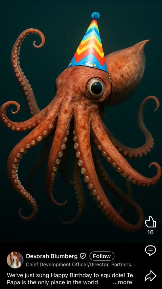 LinkedIn post from Te Papa depicting a squid-like object with ten octopus arms and no tentacles, no mantle but a pointy body, and what look like little bladders along its arms instead of suckers, either created by AI or an artist that has never even Googled a colossal squid. Also it’s wearing a party hat, which looks fine to me. 