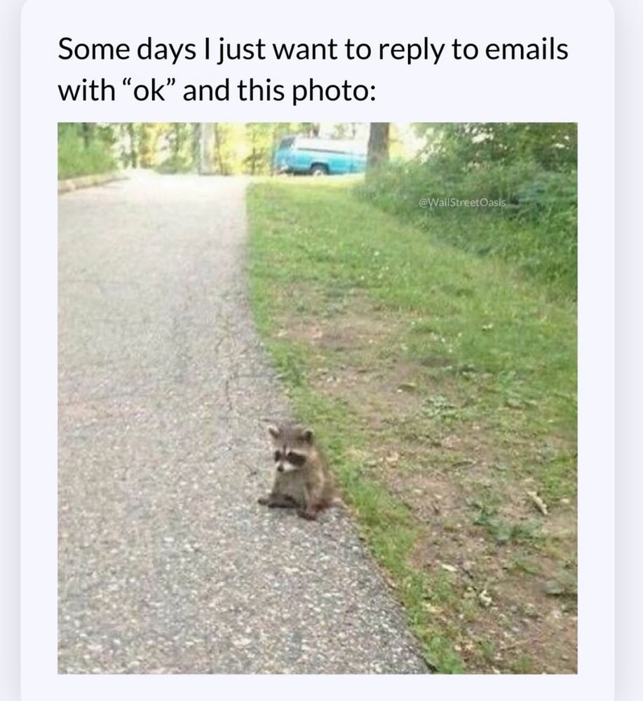 Some days I want to reply to emails with “ok” and this picture of a sad baby raccoon 