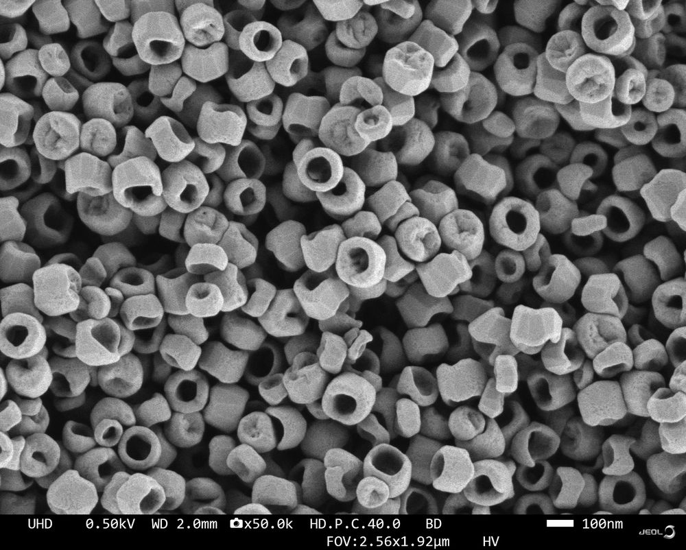 Low magnification SEM image showing multiple donut-shaped iron oxide (FeO) nanostructures scattered across the field. These ring-like structures appear as bright, well-defined circles with dark centers against a uniform grey background, illustrating the impressive clarity and contrast of the Schottky field emission SEM (JEOL JSM-IT800SHL).