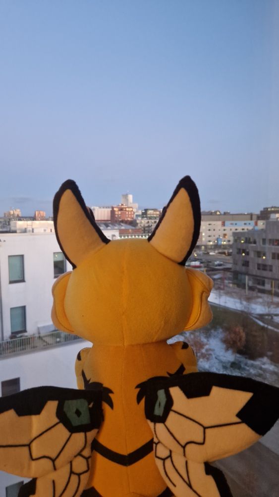 TigerBee looking at Clarion Hotel (AKA, Nordicfuzzcon) from the window of his hotel room. Excited for joyous adventures uwu