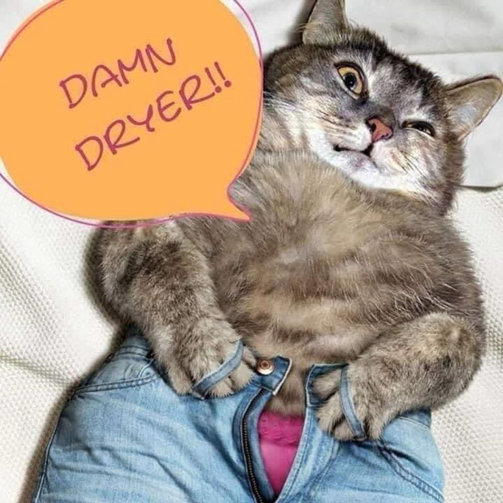 Comment image