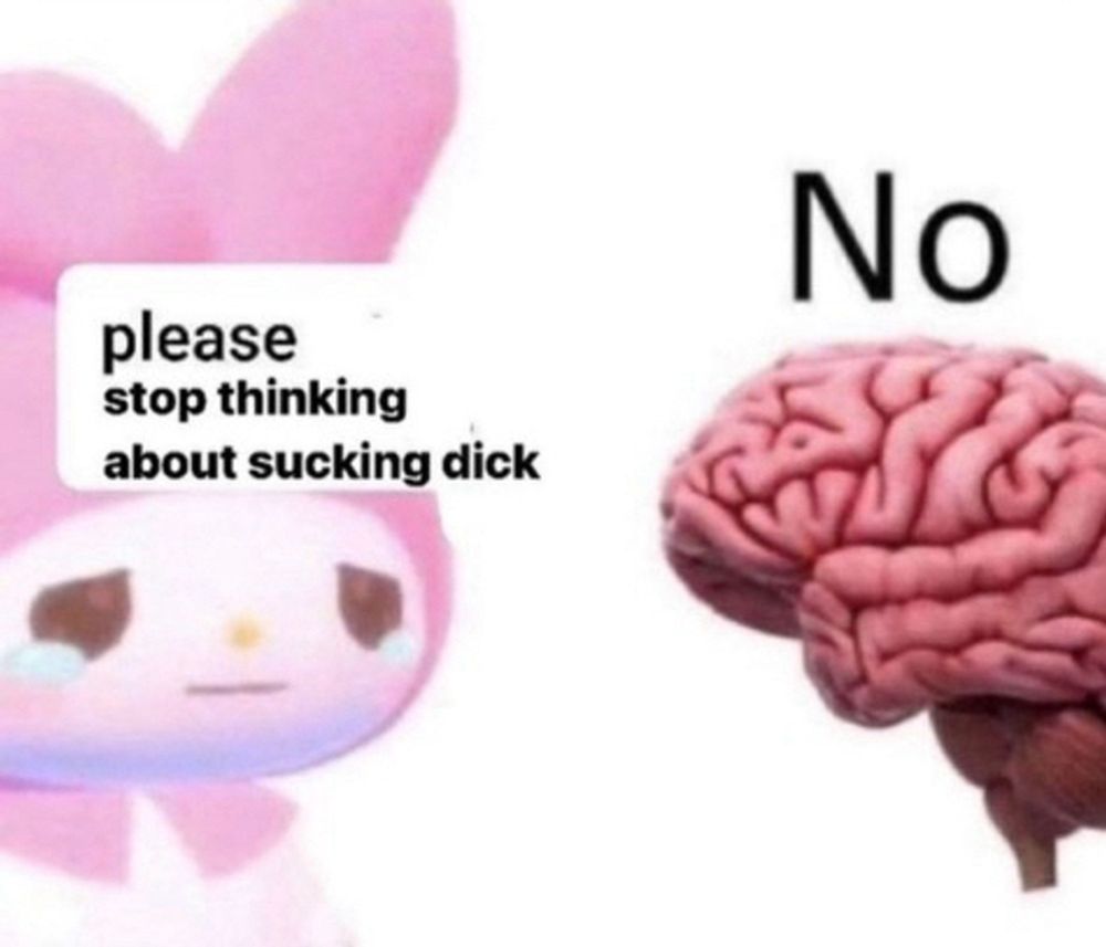 a soft, sweet little cartoon me: please stop thinking about sucking dick 

my brain: No