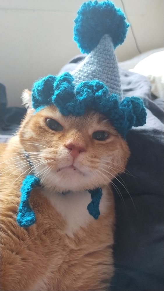 a silly orange cat patiently wearing a crocheted sky blue clown hat with a big blue bobble on top. 
he looks sleepy and patient. 