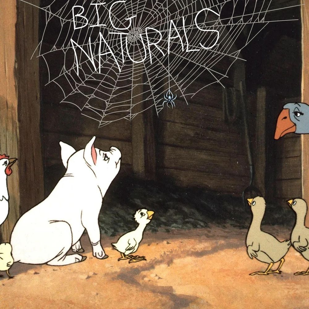 the scene from Charlotte's Web where the animals are all looking at a web that says "Some Pig", but it's been edited to read "Big Naturals" 