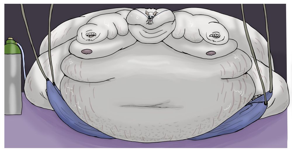 A blobby Arri the yakutian laika dog sits, immobilized by his own fat, next to an oxygen tank. A sling is prepped to lift up his belly. This is the version with cellulite, sweat, and stretch marks.