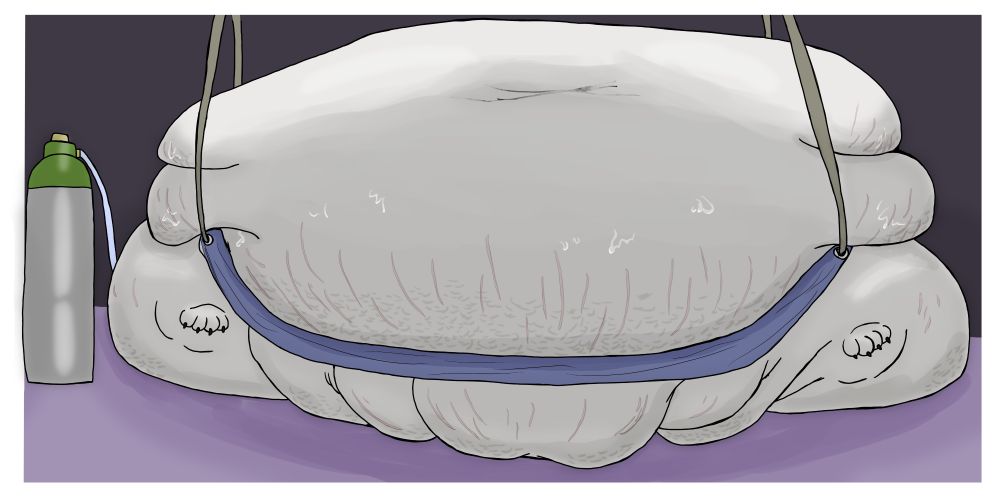 A blobby Arri the yakutian laika dog lies back, while a sling lifts his massive belly so that we can see his fatpad and thigh rolls. This is the version with cellulite, sweat, and stretch marks.