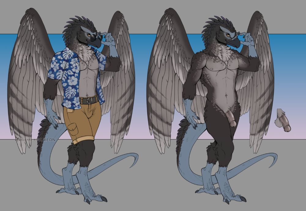 Hawk ver