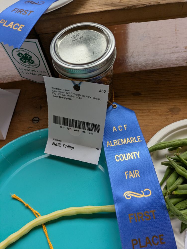 Blue ribbon winning dried beans. Technically black eyed peas but they didn't have a category for that so I entered them as beans