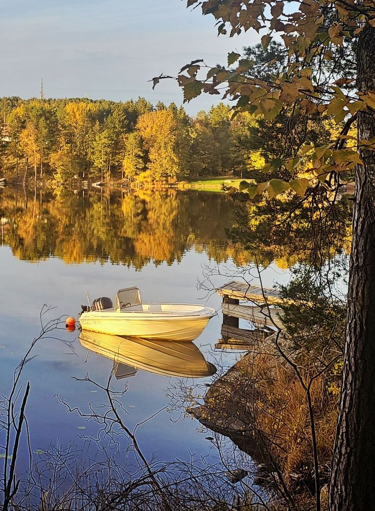 En gul båt ligger på blikkstille vann. Høstskogen og himmelen speiler seg i vannet. 