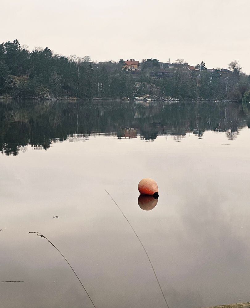 En oransje bøye ligger i blikkstille vann. Grå himmel speiler seg i vannet. Skogkledd ås med hus i bakgrunnen.
