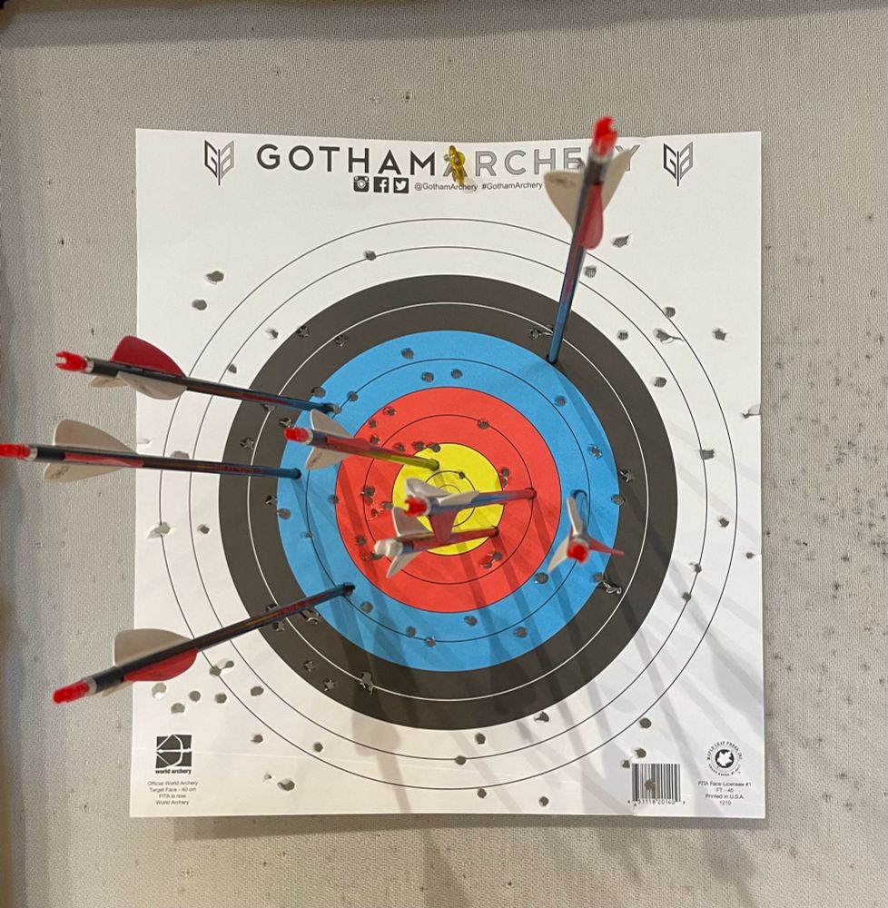 Archery practice target with 8 arrows.