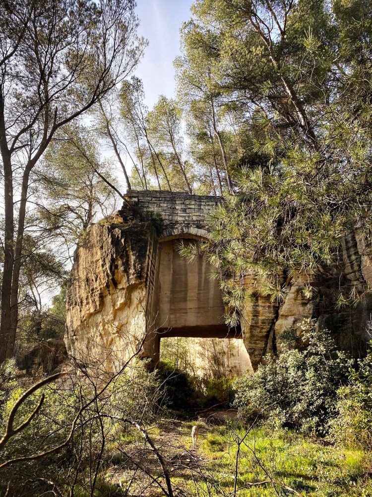 porte taillée dans la roche d'une ancienne carrière gallo-romaine, envahie par la vegetation.