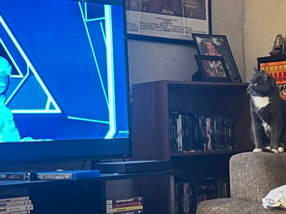 A small grey tuxedo cat continues to watch the movie Tron from the arm of a couch.