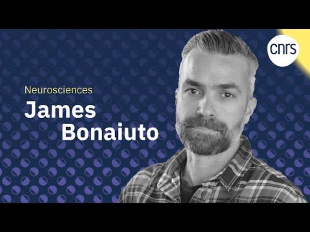 James Bonaiuto : les rythmes cérébraux et les troubles moteurs l Talents CNRS
