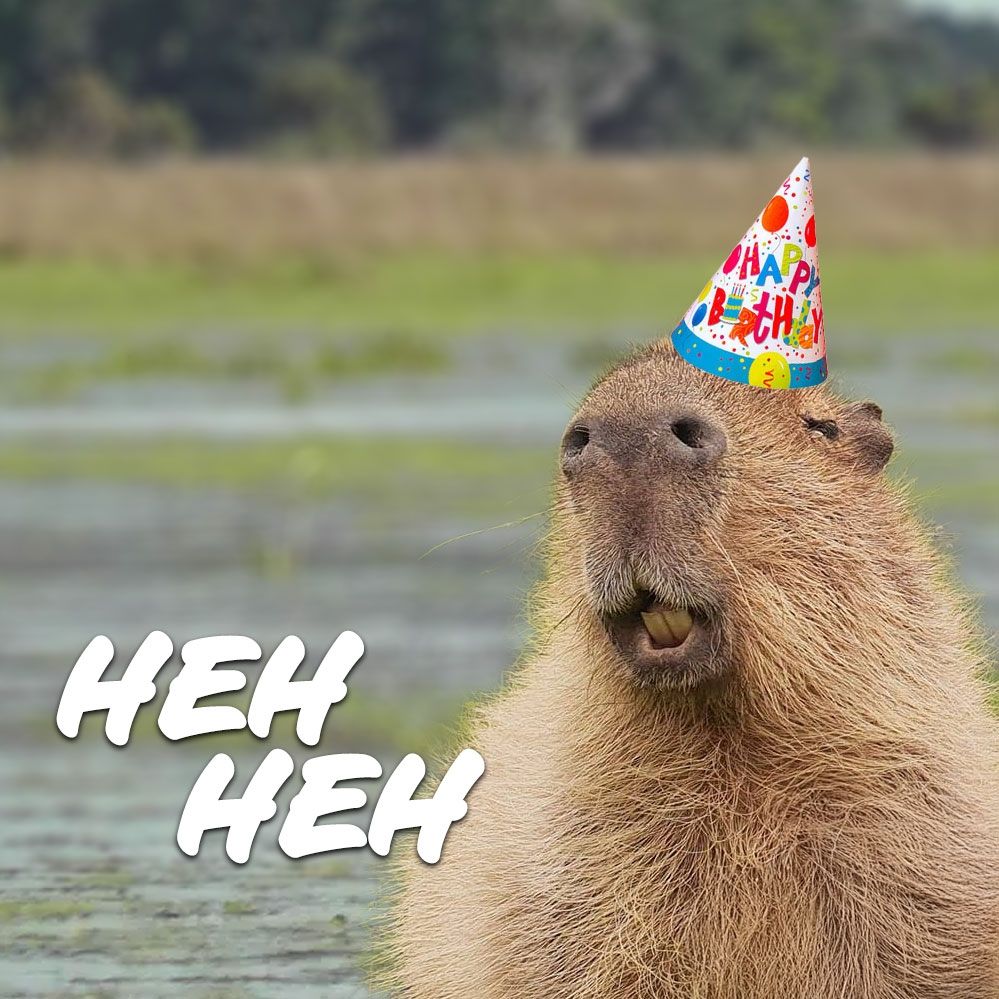 A capybara wearing a party hat chuckling "heh heh'