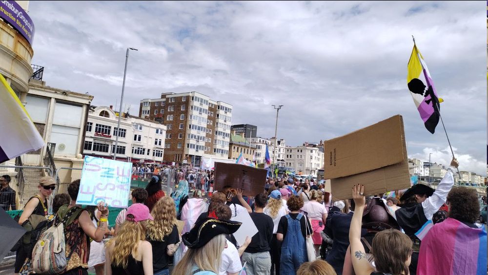 a photo of the trans pride march, a huge protest with a lot of people!