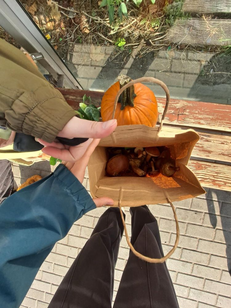 A photo of paper bag with forest mushrooms, there is also a pumpkin in the background and a thumbs up from one of the mushroom pickers.
