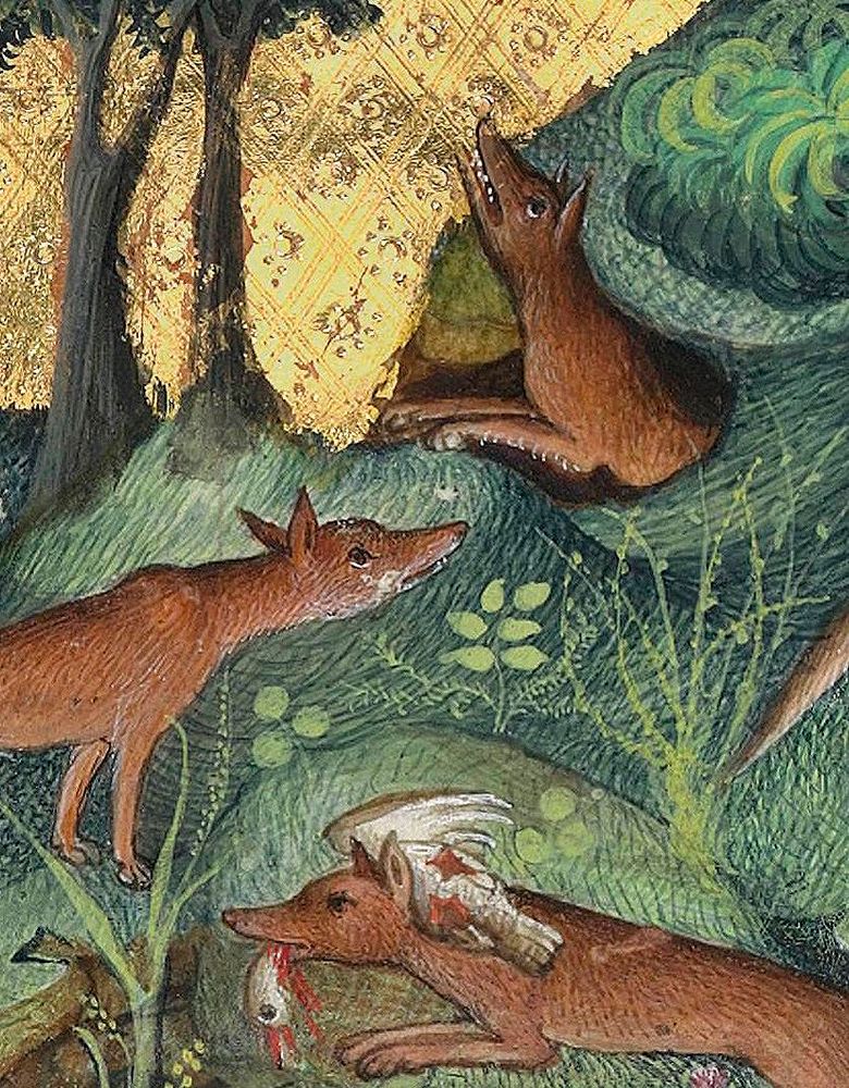 #Foxes. Gaston Phébus, Livre de la chasse, Paris 15th century. BnF, Français 616, fol. 34v.
#medieval #MedievalArt