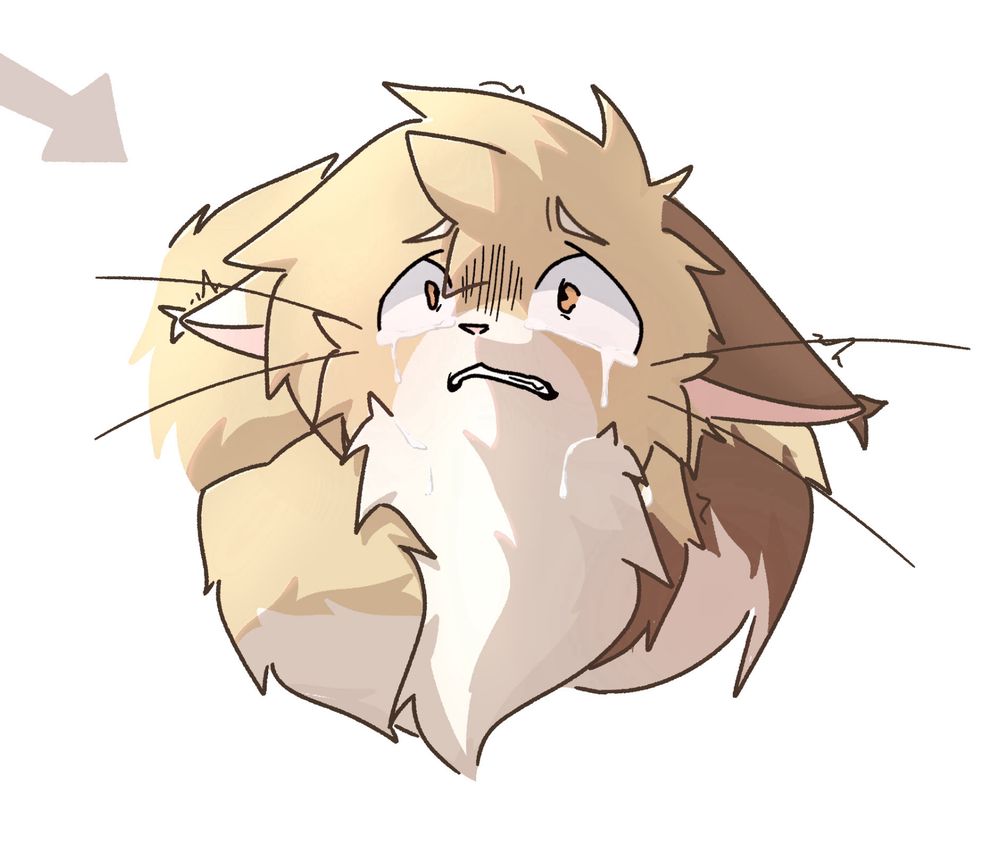 shading and expression practice