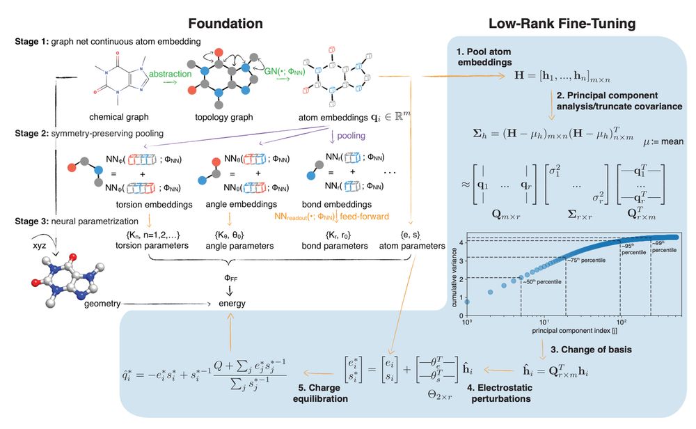 Figure 1 from arXiv preprint https://doi.org/10.1101/2025.01.06.631610

Fig. 1 Espaloma is an end-to-end differentiable molecular mechanics parameter assignment scheme for arbitrary organic molecules. Espaloma (extensible surrogate potential optimized by message-passing) is a modular approach for directly computing molecular mechanics force field parameters FFF from a chemical graph G such as a small molecule or biopolymer via a process that is fully differentiable in the model parameters FNN. In Stage 1, a graph neural network is used to generate continuous latent atom embeddings describing local chemical environments from the chemical graph. In Stage 2, these atom embeddings are transformed into feature vectors that preserve appropriate symmetries for atom, bond, angle, and proper/improper torsion inference via Janossy pooling.54 In Stage 3, molecular mechanics parameters are directly predicted from these feature vectors using feed-forward neural networks. This parameter assignment process is performed once per molecular species, allowing the potential energy to be rapidly computed using standard molecular mechanics or molecular dynamics frameworks thereafter. The collection of parameters FNN describing the espaloma model can be considered as the equivalent complete specification of a traditional molecular mechanics force field such as GAFF38,39/AM1-BCC55,56 in that it encodes the equivalent of traditional typing rules, parameter assignment tables, and even partial charge models. Reproduced from ref. 49 with permission from the Royal Society of Chemistry.