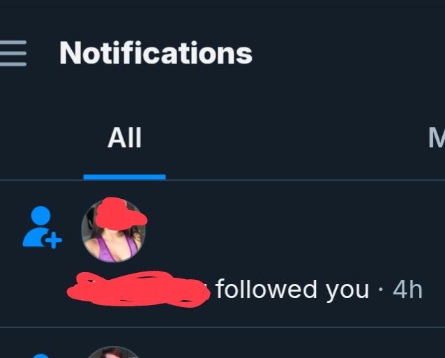 A an obvious sex bot followed me