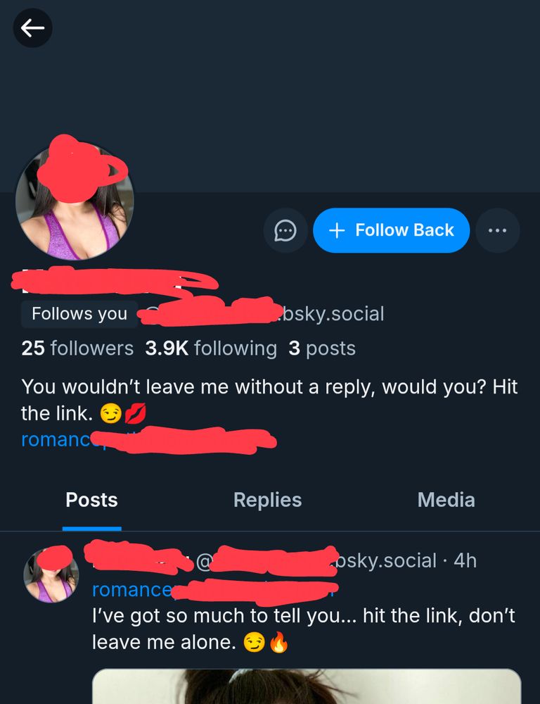 The Bluesky profile of the sex bot in question