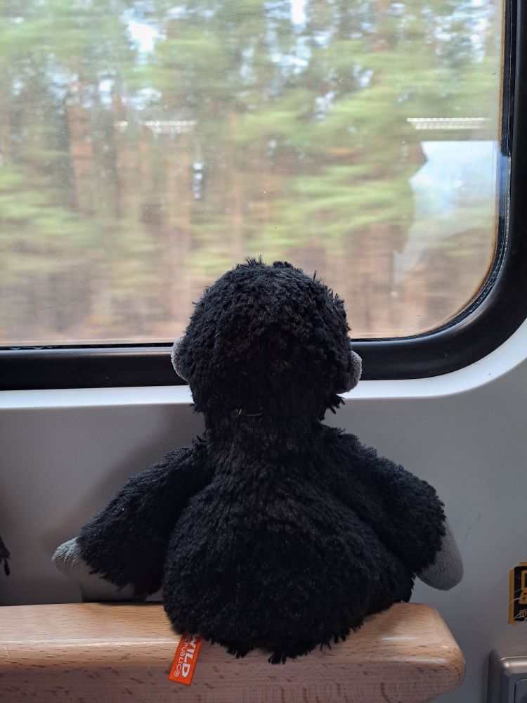 Blick aus dem Zugfenster auf einen Wald, drinnen sitzt ein Gorilla-Kuscheltier, als würde es rausgucken.