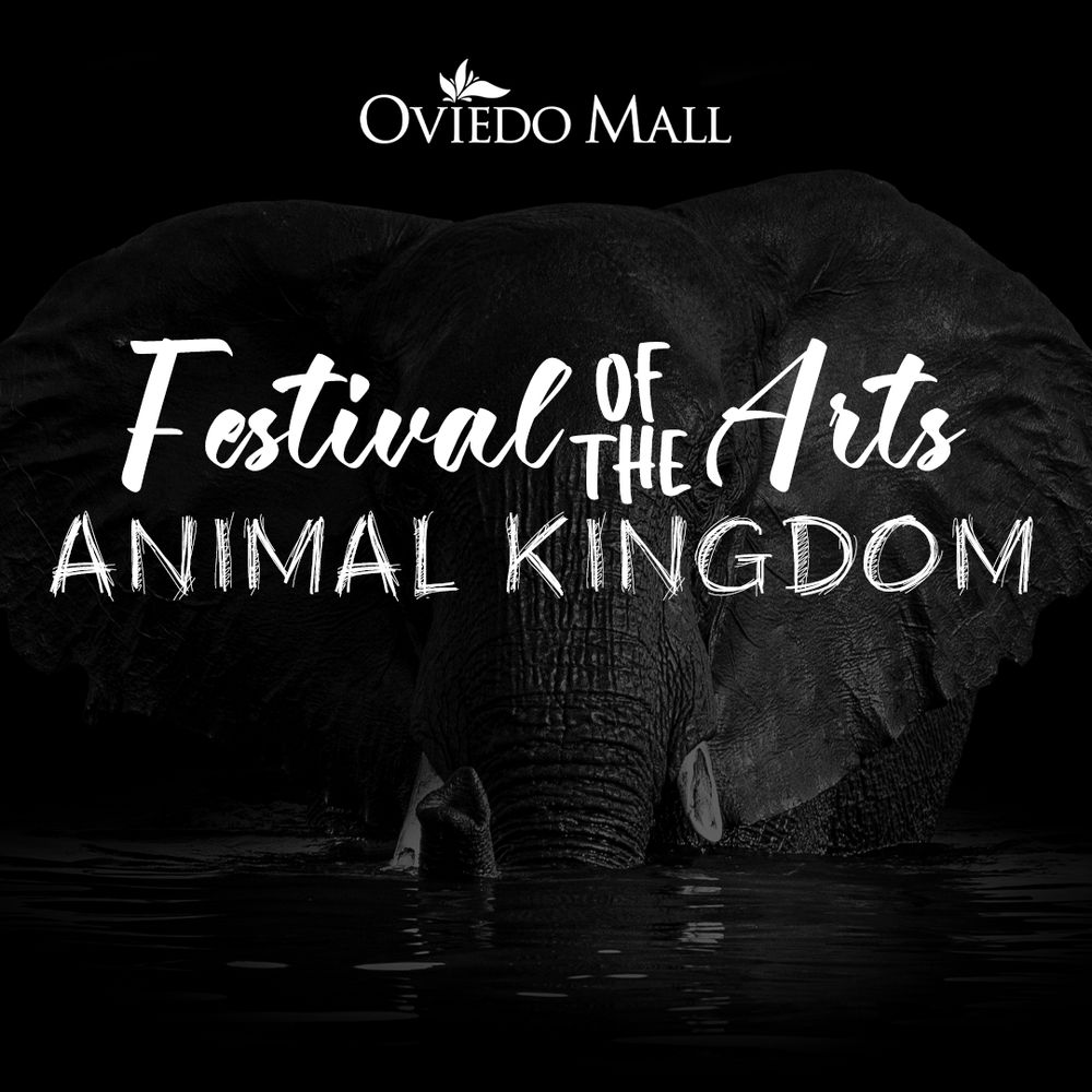 Oviedo Mall
Festival of the Arts
Animal Kingdom 