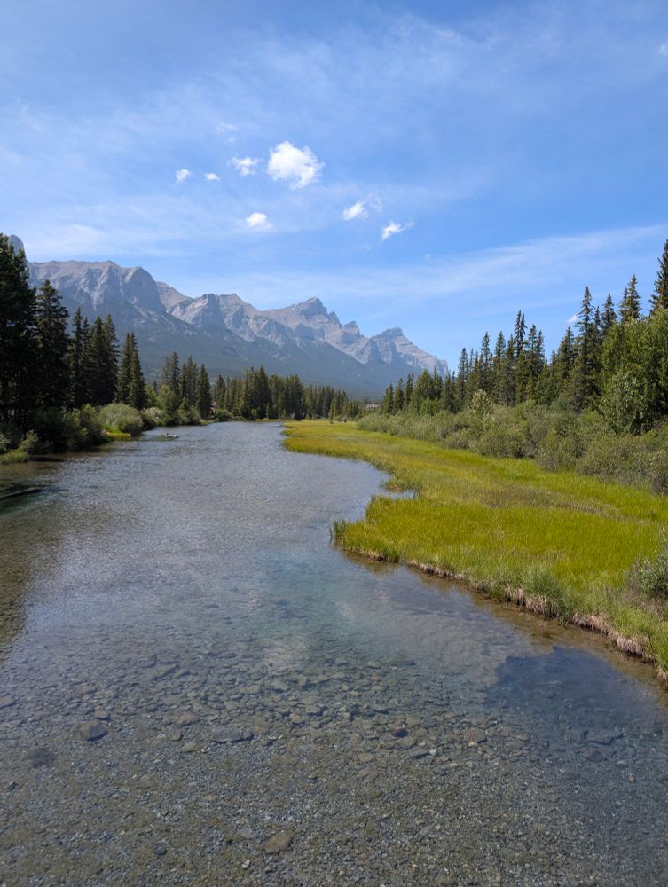 A shallow stream with water flowing over a rocky bed, pine trees on either side, with tall mountains and a clear sky in the background. 