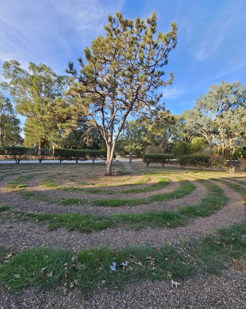 A labyrinth by green grass with a big tree at the heart.