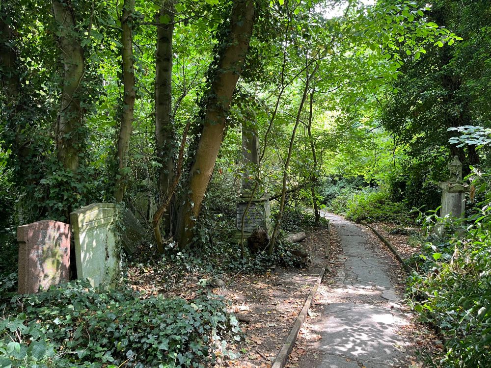 Park footpath with grave stones and ivy