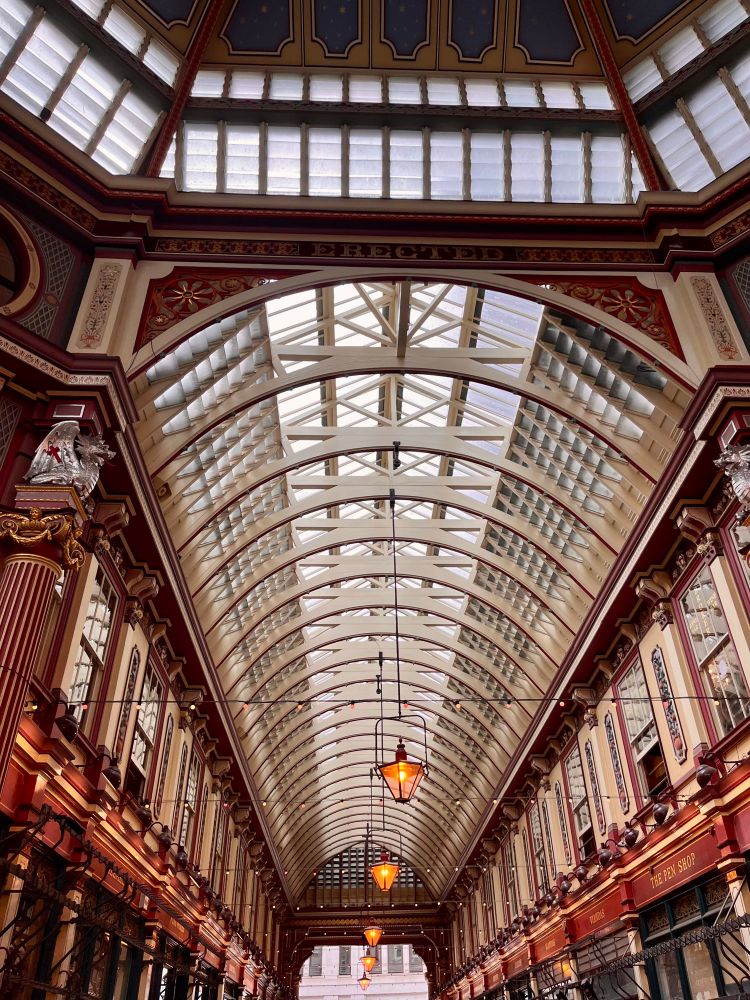 Painted iron girder frame and glass ceiling