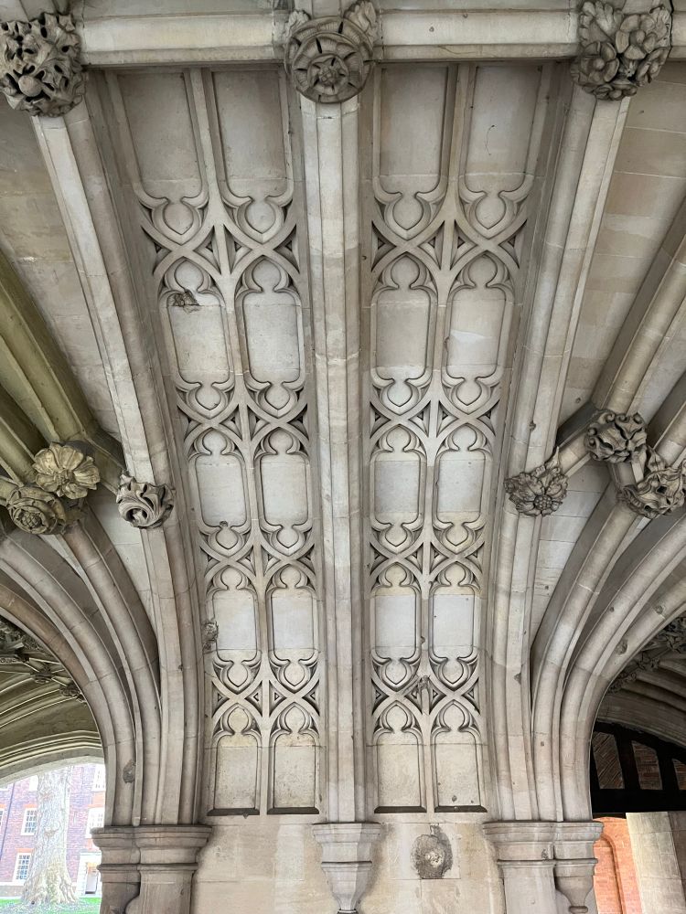 Undercroft vaulted ceilings columns 
