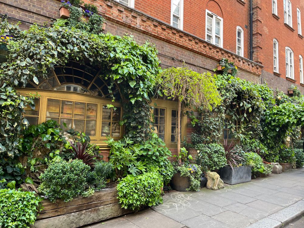 Planters and living archways
