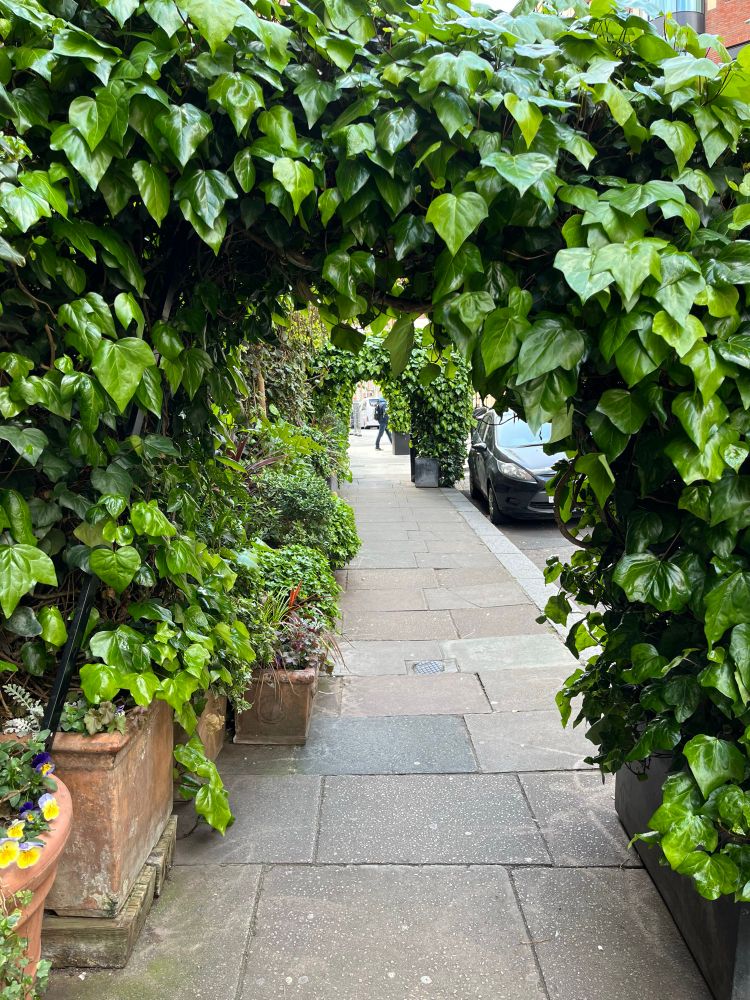 Planters and living archways