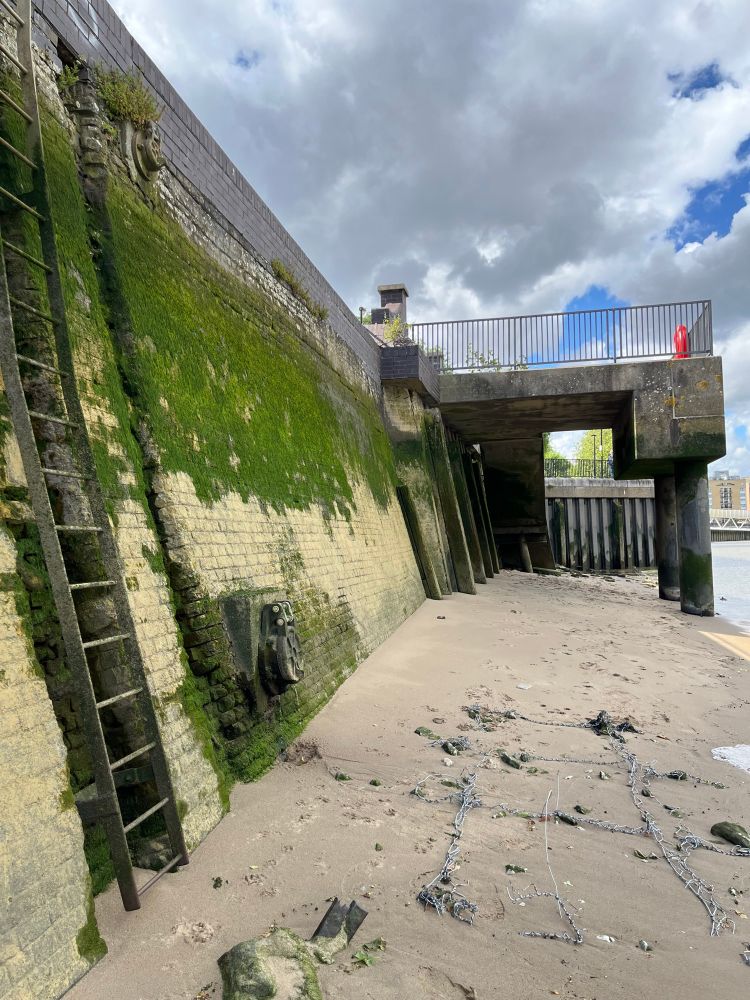 Brick wall on the bank of the river Thames at low tide with ladder and allege 